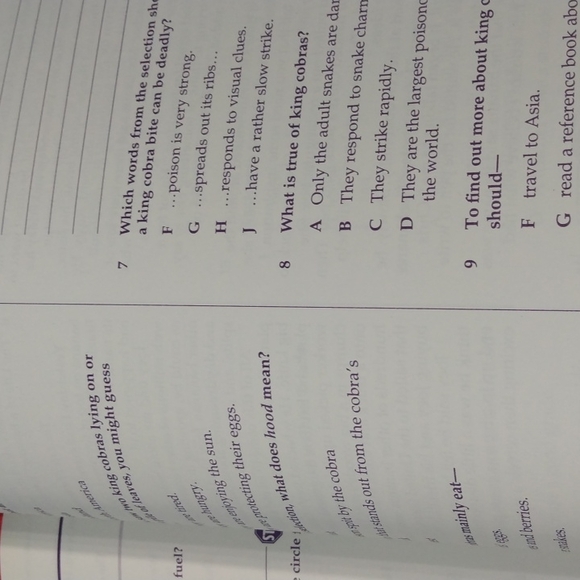 Test Best for Test Prep Level D - Picture 16 of 16